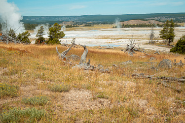 Similar image 22589989