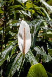 Similar image 22590018