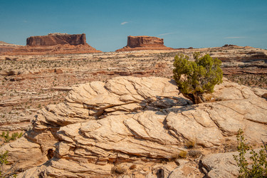 Similar image 22585500