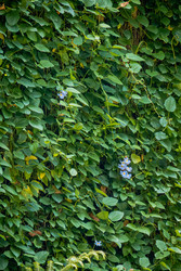 Similar image 22585501