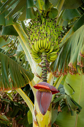 Similar image 22585502