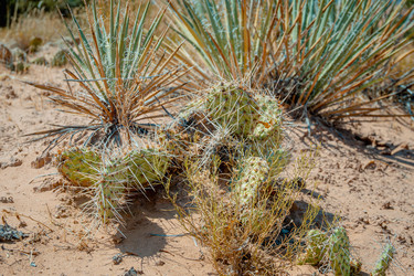 Similar image 22585560