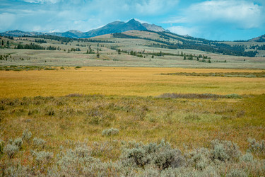 Similar image 22585561