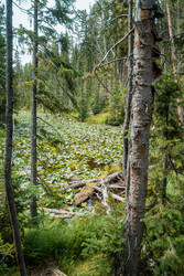 Similar image 22585563