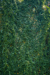 Similar image 22585580