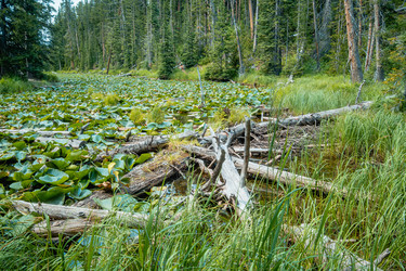 Similar image 22585595