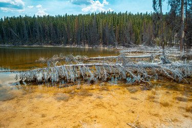 Similar image 22585609