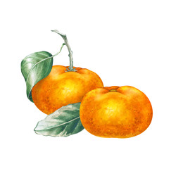 Similar image 22588154