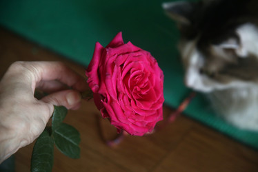 Similar image 22591341