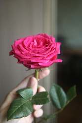 Similar image 22591342