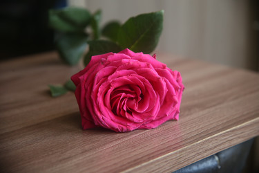 Similar image 22591343