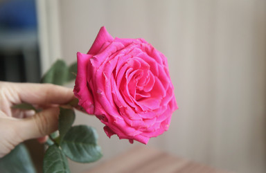 Similar image 22591344