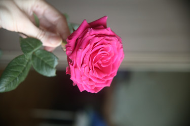 Similar image 22591345