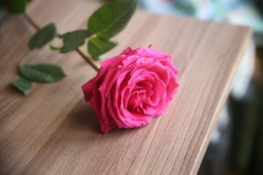 Similar image 22591346