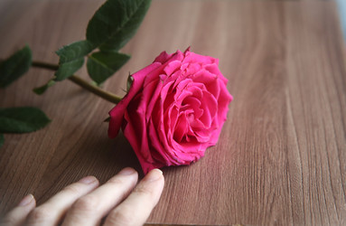 Similar image 22591347