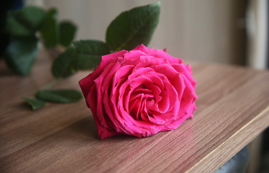 Similar image 22591348