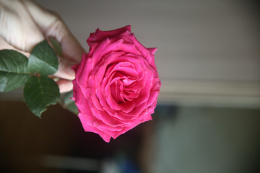 Similar image 22591349