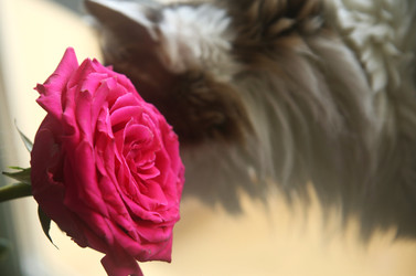 Similar image 22592880