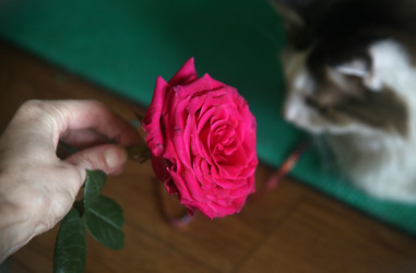 Similar image 22591350