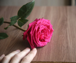 Similar image 22591351