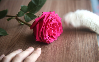 Similar image 22591363