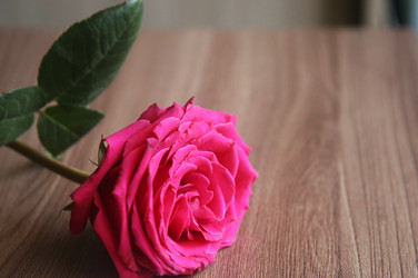 Similar image 22591364