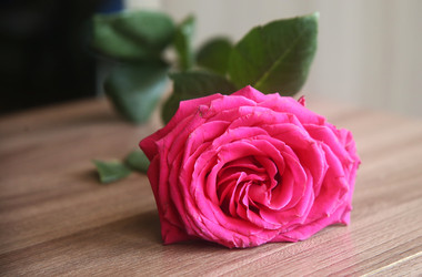 Similar image 22591365