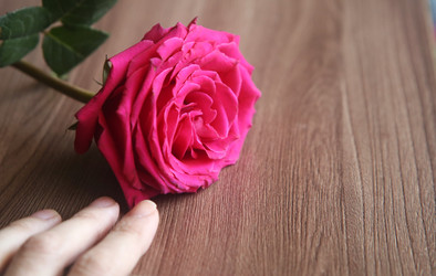 Similar image 22591366