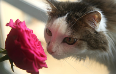 Similar image 22592881