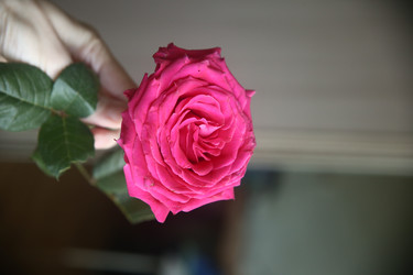 Similar image 22591367