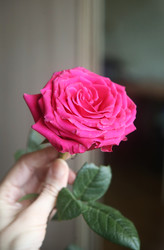 Similar image 22591368