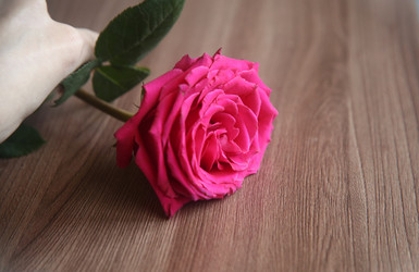 Similar image 22591369