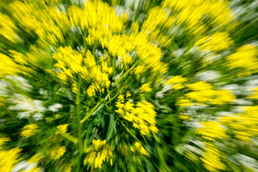 Similar image 22586075