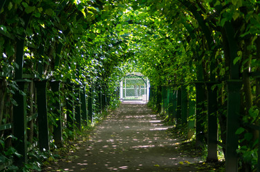 Similar image 22586077