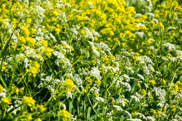 Similar image 22586085