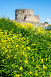 Similar image 22586098