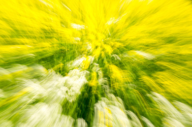 Similar image 22586102