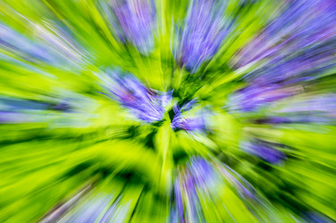 Similar image 22585902