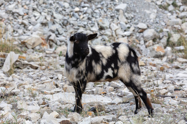 Similar image 22585920