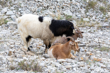 Similar image 22585921