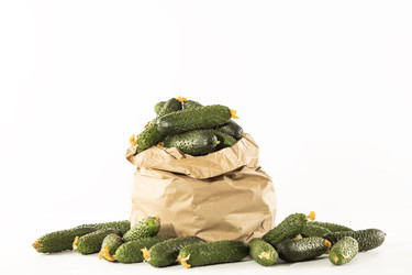 Similar image 22590399