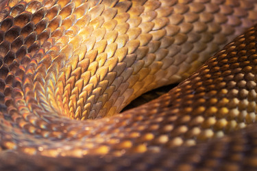 Similar image 22590403