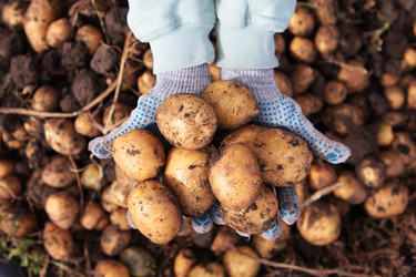 Similar image 22590408