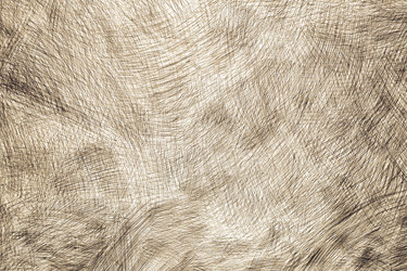 Similar image 22588753