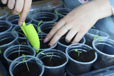 Similar image 22586532