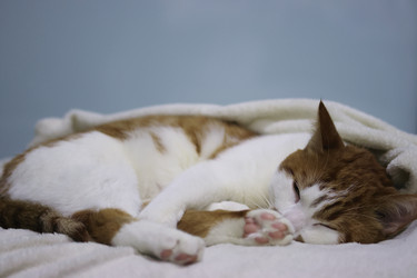 Similar image 22586533