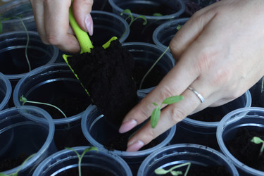 Similar image 22586534