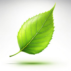 Similar image 22593759