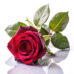 Similar image 22593774