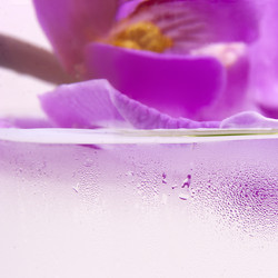 Similar image 22588867